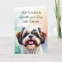 Saupoudrer votre journée de tendresse | Shih Tzu