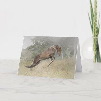 Carte Sauter de cheval