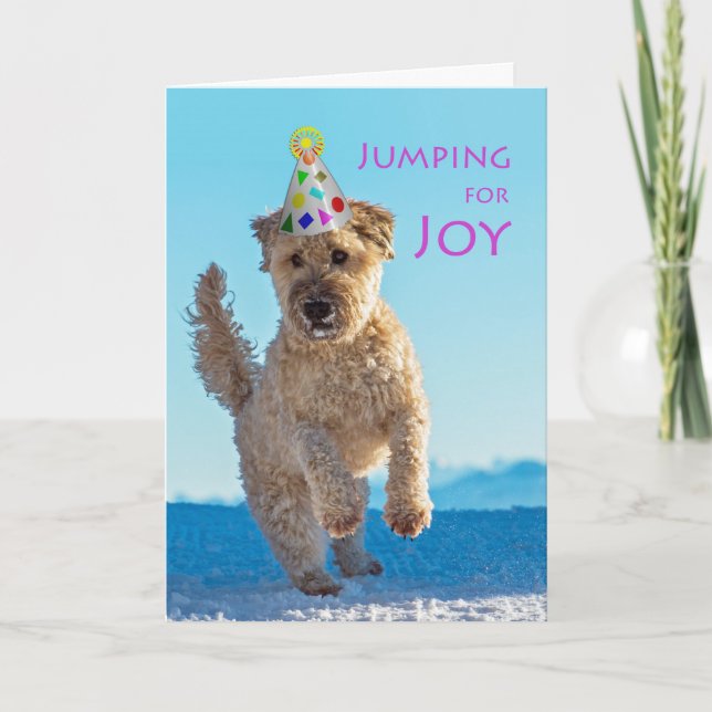 Carte Sauter pour la joie, Wheaten Terrier, Anniversaire (Devant)