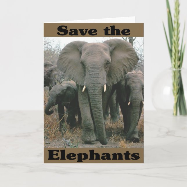 Carte Sauvez les éléphants (Devant)