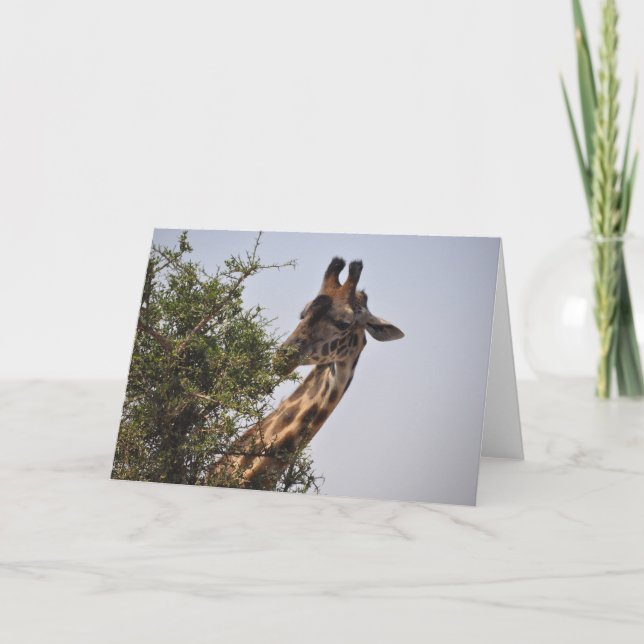 Carte Savoureux (Devant)