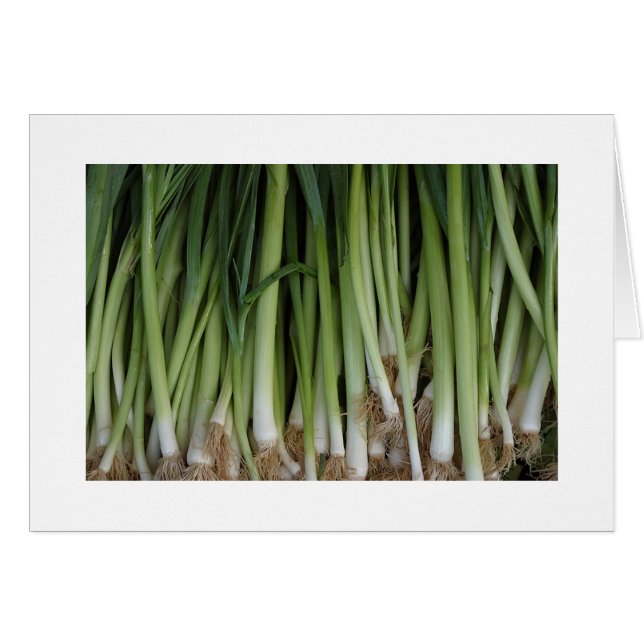 Carte Scallions (Devant horizontal)