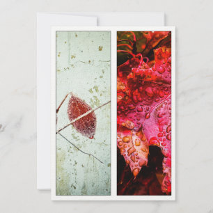 Carte Scarlet Red Nature Art Signet