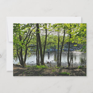 Carte Scène De Bois. Blackweir Woods, Cardiff