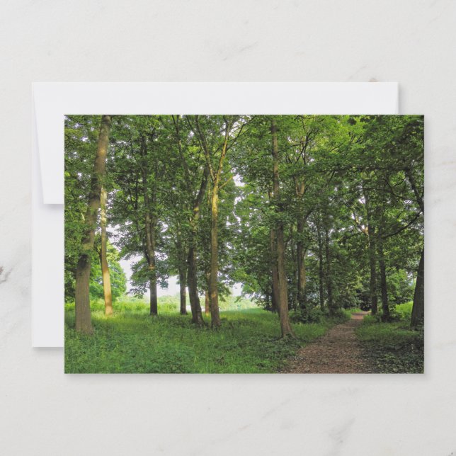Carte Scène De Bois. Blackweir Woods, Cardiff (Devant)