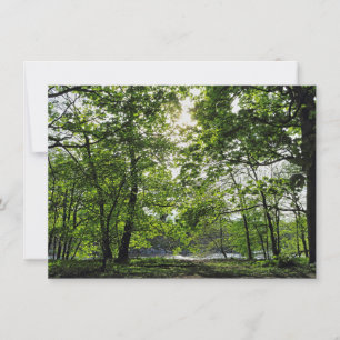 Carte Scène De Bois. Blackweir Woods, Cardiff