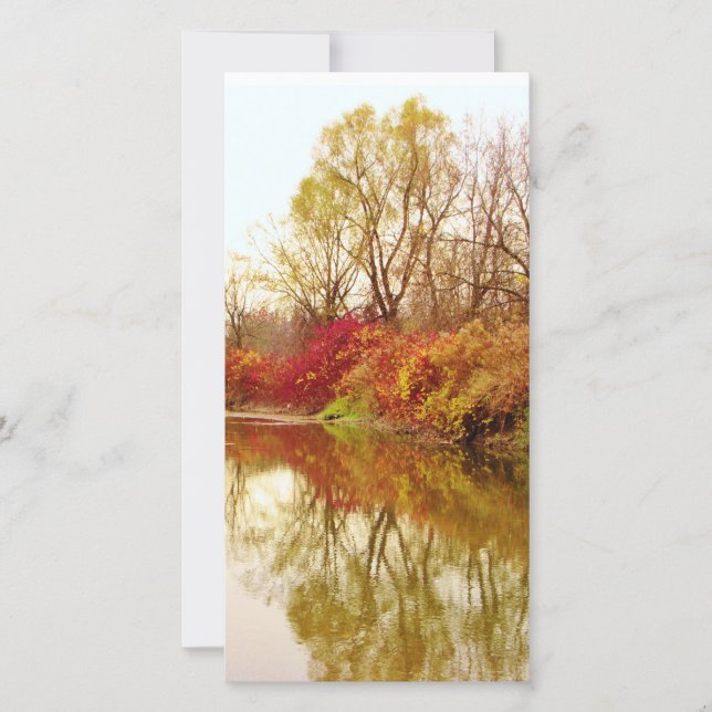 Carte Scène de la rivière Fall Forest (Devant)