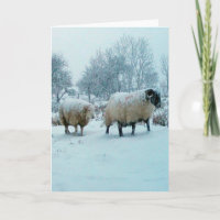 Scène de moutons d'hiver dans la neige personnalis