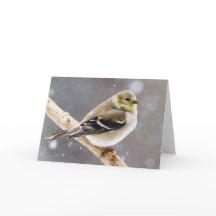 Scène de neige aux oiseaux d'hiver - American Gold