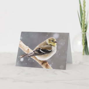 Carte Scène de neige aux oiseaux d'hiver - American Gold