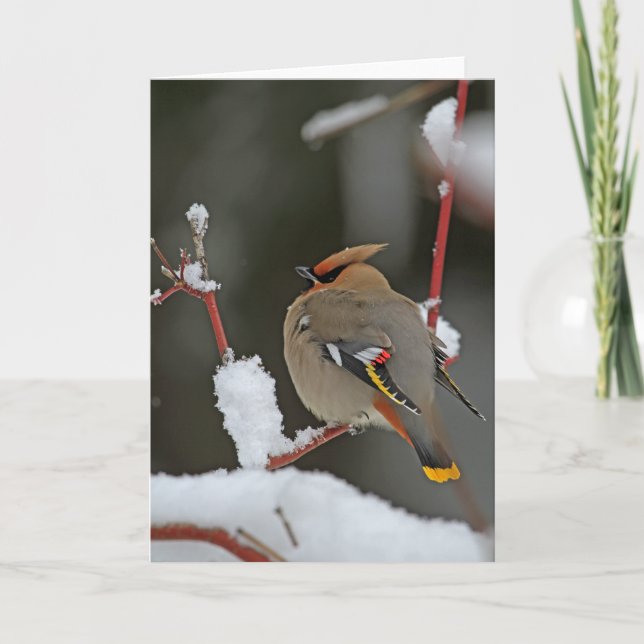 Carte Scène d'hiver - cire de Bohême (Devant)