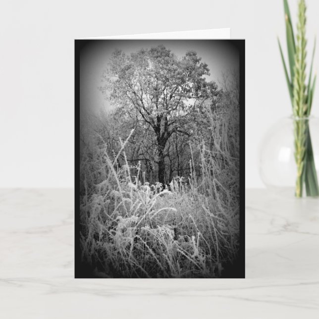 Carte Scène D'Hiver Frosty Noir Et Blanc Toutes Les Occa (Devant)