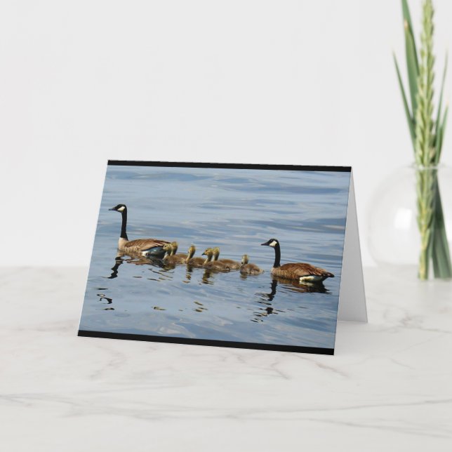 Carte Scène paisible de lac avec la famille des oies (Devant)
