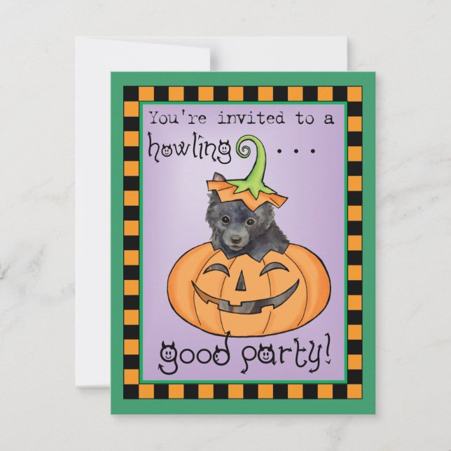 Carte Schipperke Halloween (Devant)