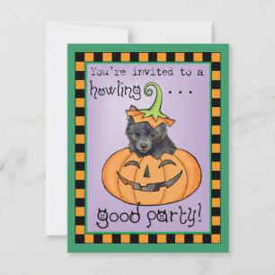 Carte Schipperke Halloween