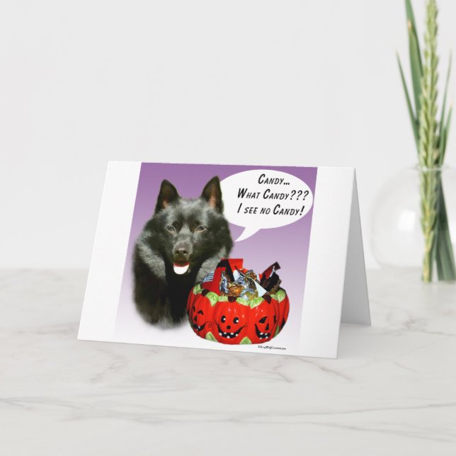 Carte Schipperke Halloween Candy (Devant)