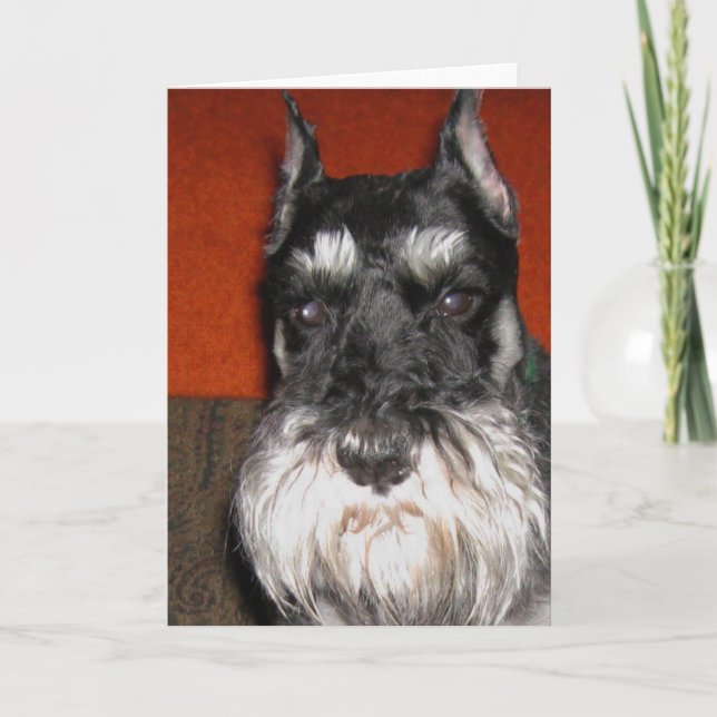 Carte Schnauzer (Devant)