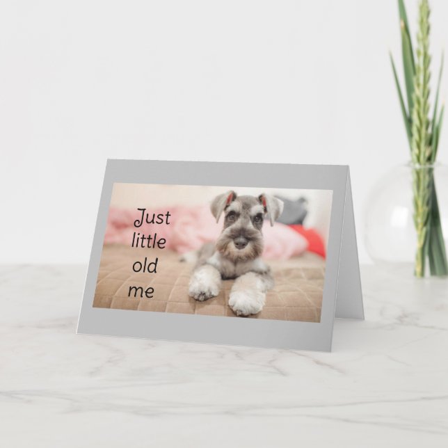 CARTE "SCHNAUZER DIT JEUX ANNIVERSAIRE" (Devant)