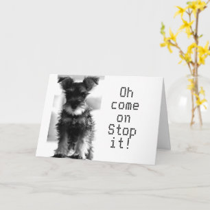 CARTE SCHNAUZER DIT "TU AS ENCORE L'AIR 59" "60E ANNIVER