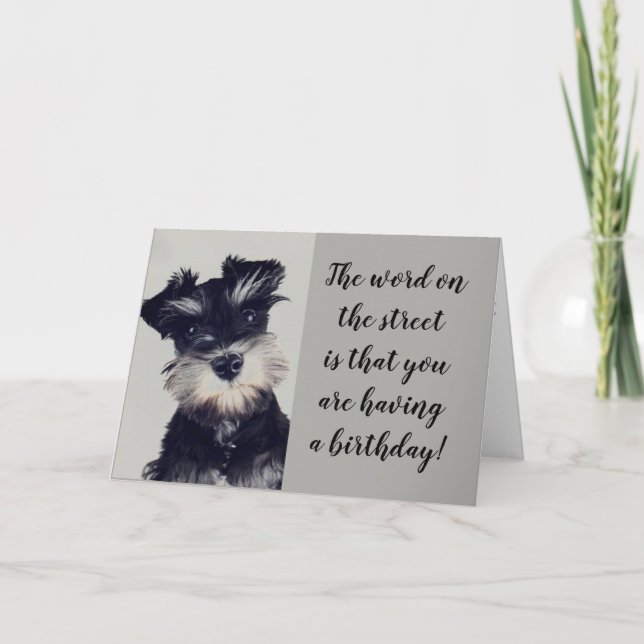 CARTE SCHNAUZER NE PEUT PAS CROIRE LES NOUVELLES **50 ?* (Devant)