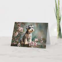 Schnauzer Puppy Among Spring Cherry Blossoms
