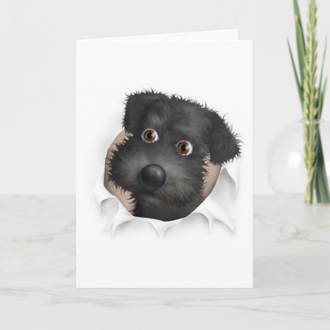 Carte Schnoodle (Noir) sortant (Devant)
