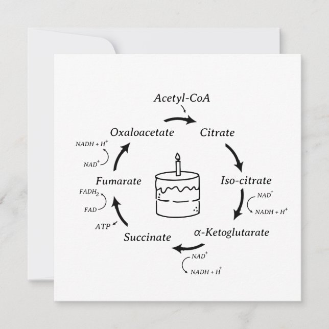Carte Science Anniversaire Kreb's Cycle Biology Cake Ens (Devant)