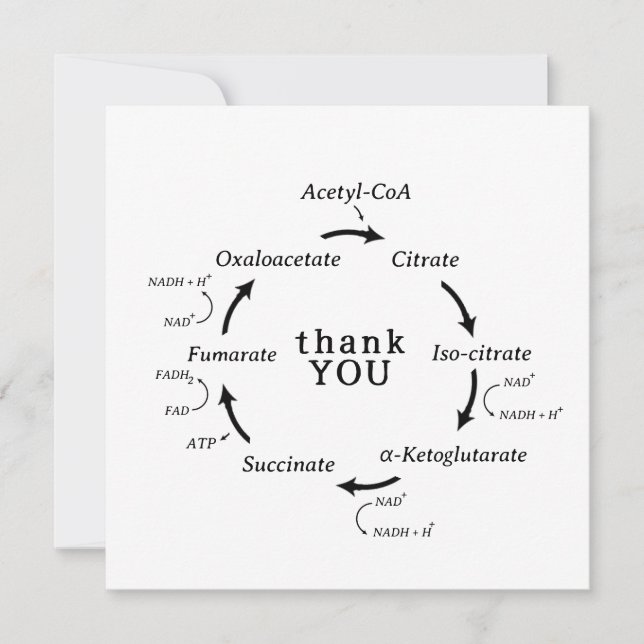 Carte Science Merci Professeur Kreb's Cycle Biology (Devant)