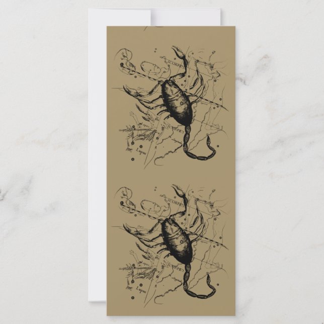 Carte Scorpio Constellation Hevelius 1690 Décor (Devant)