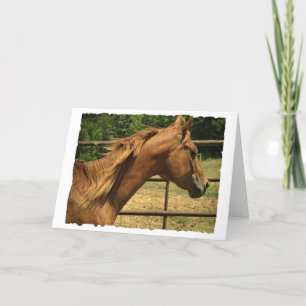 Carte Scotch, Anniversaire