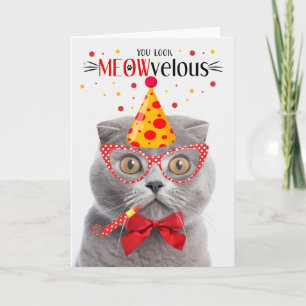 Carte Scottish Fold Grey Cat MEOWvelous Anniversaire