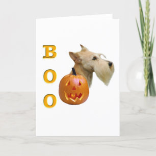 Carte Scottish Terrier (blé) Boo