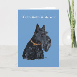Carte Scottish Terrier Get Well Card