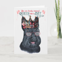 Scottish Terrier Queen pour une journée d'annivers