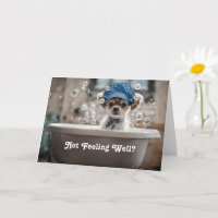 Se Sentir Mieux Mignon Chihuahua Chien Chiot