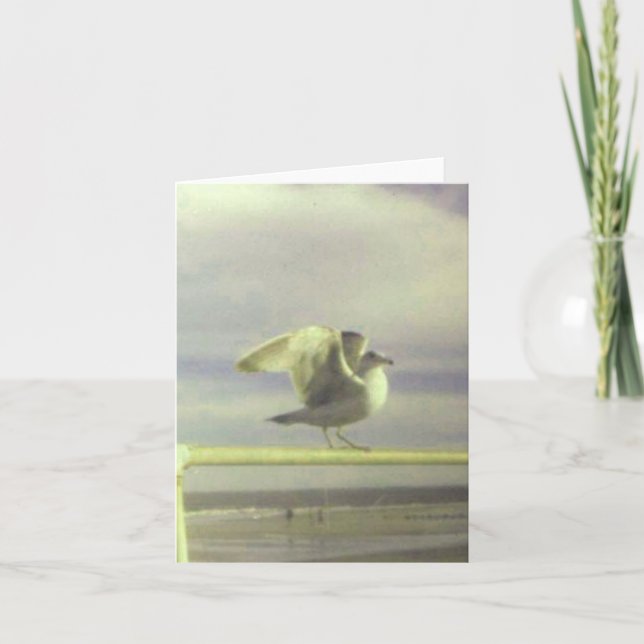 Carte Seagull (Devant)
