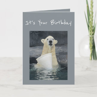 Carte Seau d'ours blanc d'anniversaire d'humour