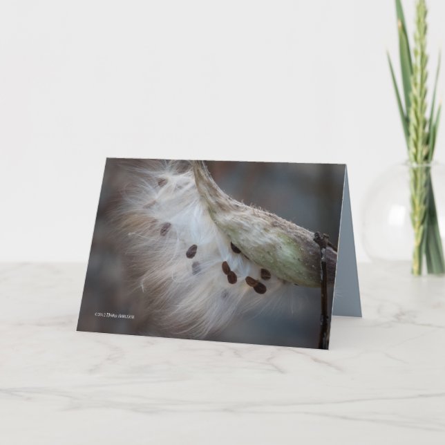 Carte Semences 4 demain (Devant)