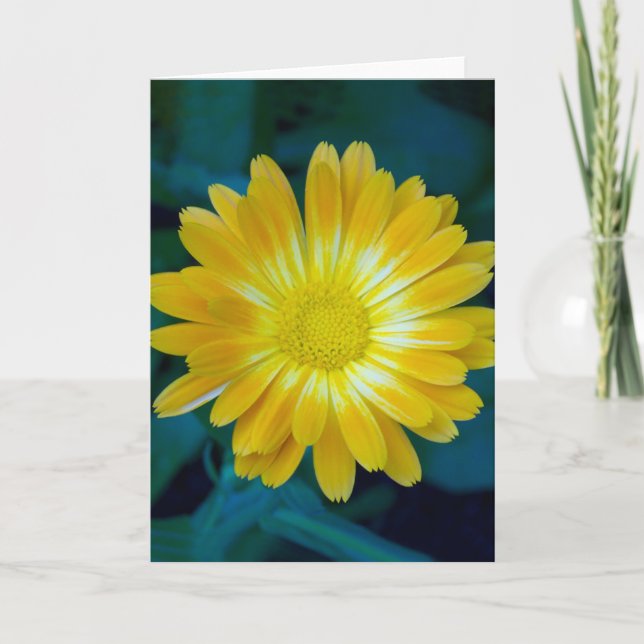 Carte Send Flower to your friends that lasts. (Devant)