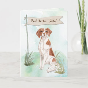 Carte Sensation de la Bretagne mieux après la chirurgie