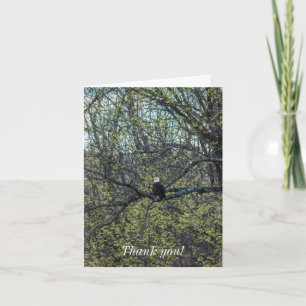 Carte Sensibilisation aux aigles