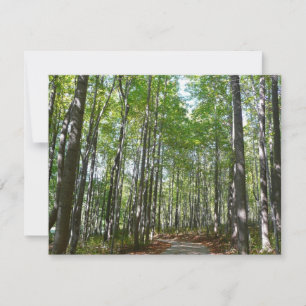 Carte Sentier boisé du centenaire II Ellicott City Maryl