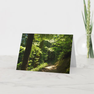 Carte Sentier depuis Silver Falls