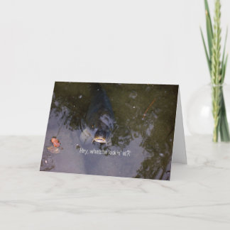 Carte Sentiment de pêche