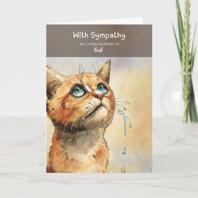 Carte Sentiment de sympathie avec chat triste avec larme (Devant)