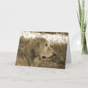 Carte Sepia Golden Retriever