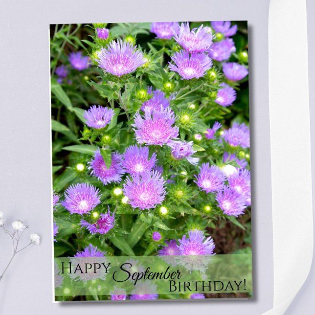Carte Septembre Fleur de naissance Purple Stoker Asters (Créateur téléchargé)