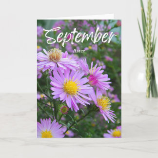 Carte Septembre Purple Yellow Aster Naissance Mois Anniv