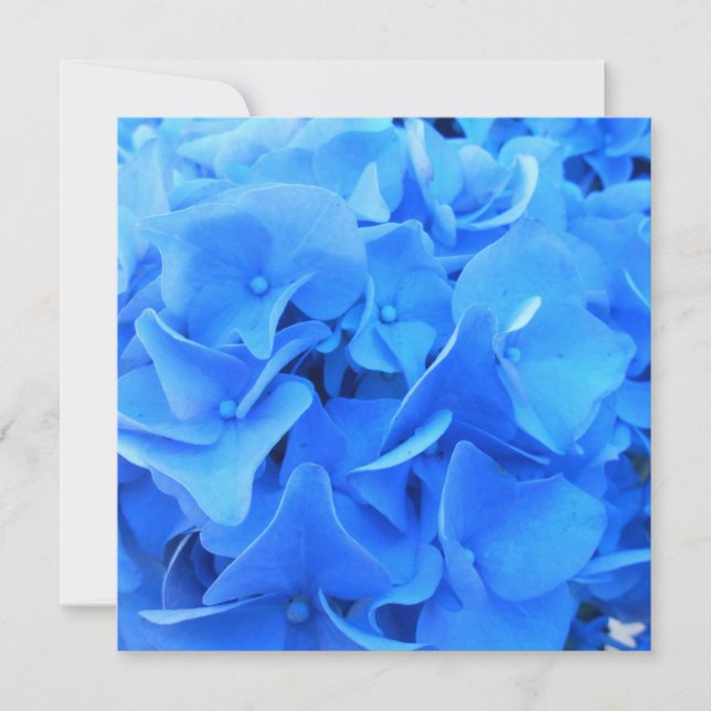 Carte Sérapine (Devant)