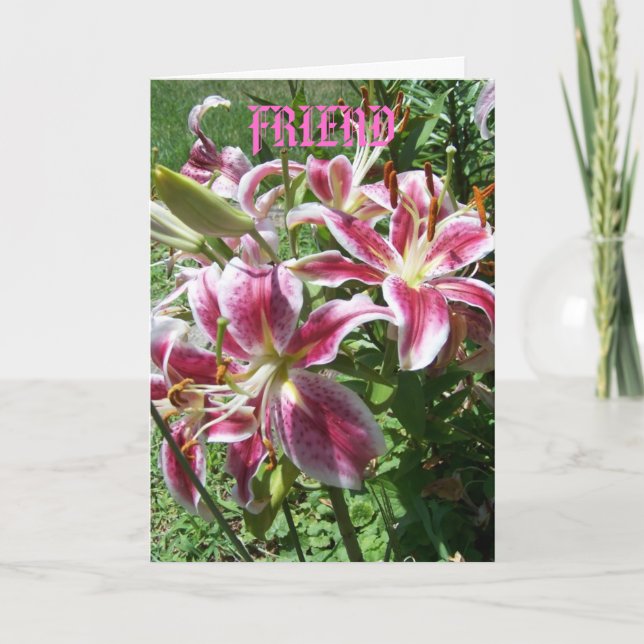Carte Serargazer Lilies/Ami (Devant)